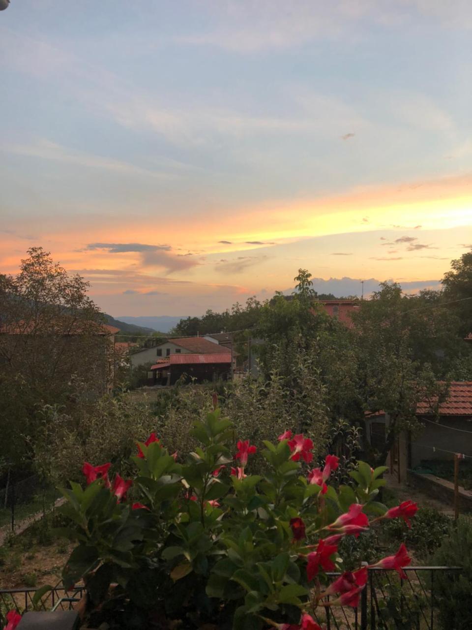 Albergo Ristorante Letizia Chiusi della Verna Εξωτερικό φωτογραφία